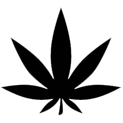 marijuana-card-arkansas